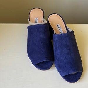 Charles David Suede slides